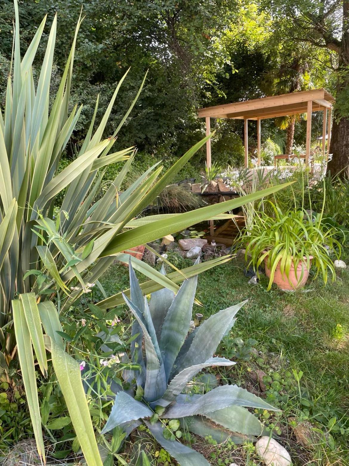 Bed and Breakfast Les Agapanthes Vaux-en-Beaujolais Exteriér fotografie